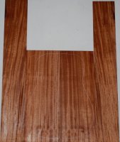 African Mahogany 0104_001