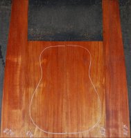 African Mahogany 0118_002