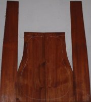 African Mahogany 1027_001