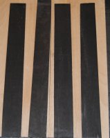 Black Indian Ebony Fretboard with mineral spots