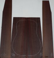 Indian Rosewood 0215_001