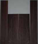 Indian Rosewood 0919_002