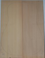 Yellow Cedar 2A 0202_001