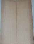 Adi Red Spruce 1A Dred 0308_001