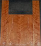 Birch Curly