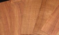 Honduran Rosewood Bridge Plates