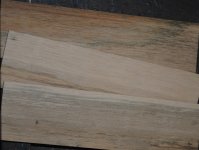 Persimmon Bridge Plates