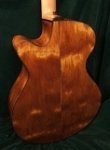 Ancient Kauri (OS)