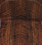 Bastogne Walnut (OS)
