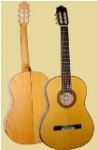 Yellow Cedar