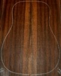 Indian Laurel (NA)