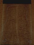 Quilted Maple