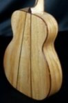 American Sycamore