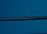 Black/White/Black Purfling .010 BY 34"