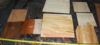 Rosette Square 5 Pack
