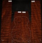 Mahogany Honduran "The Tree" OOS