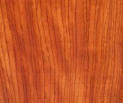 Ebiara (Red Zebra)